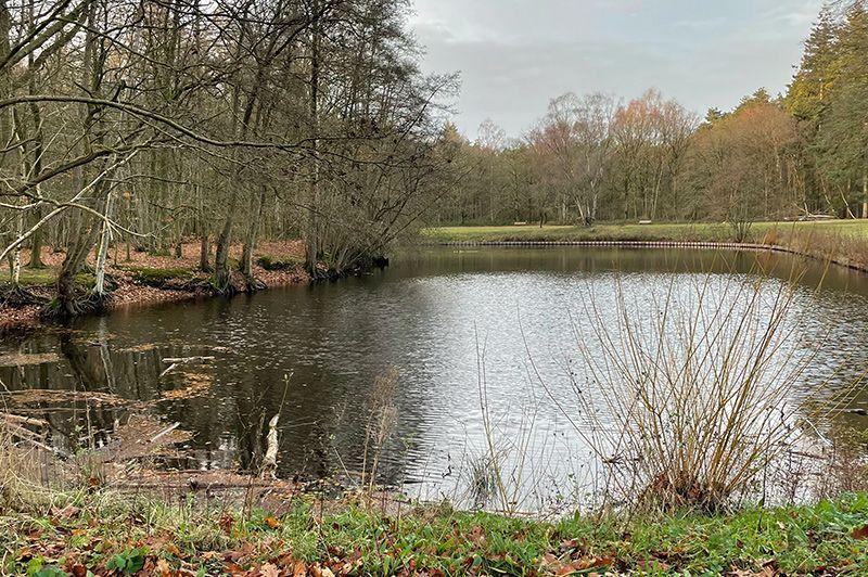 listing card gallery