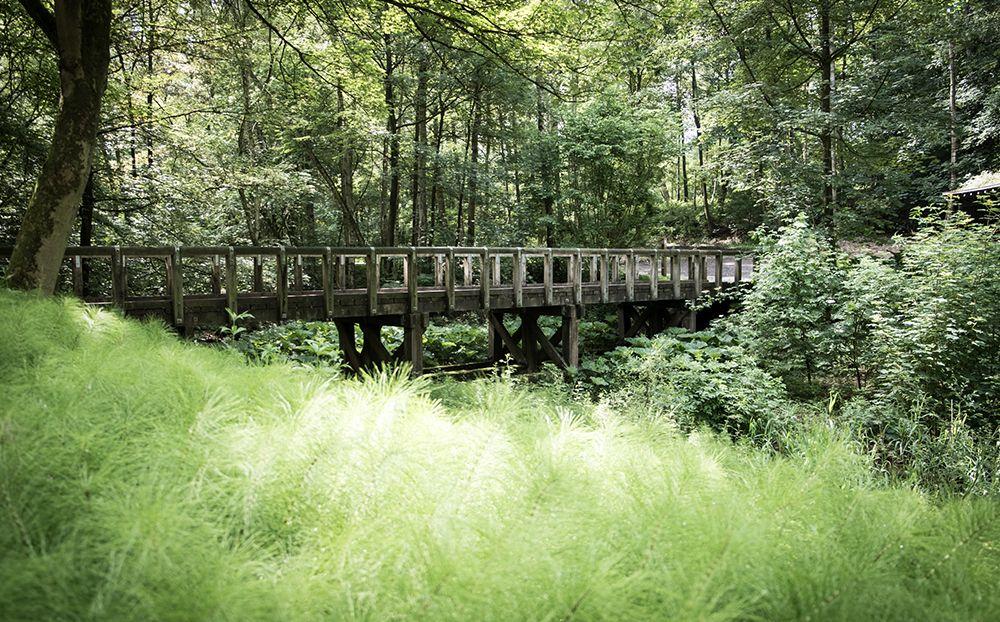 10 mooiste wandelingen in West-Vlaanderen