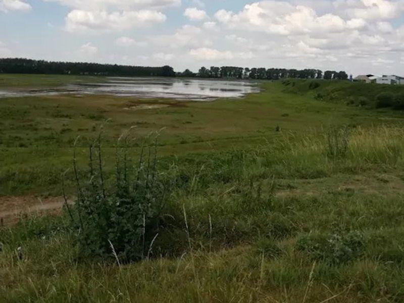 listing card gallery