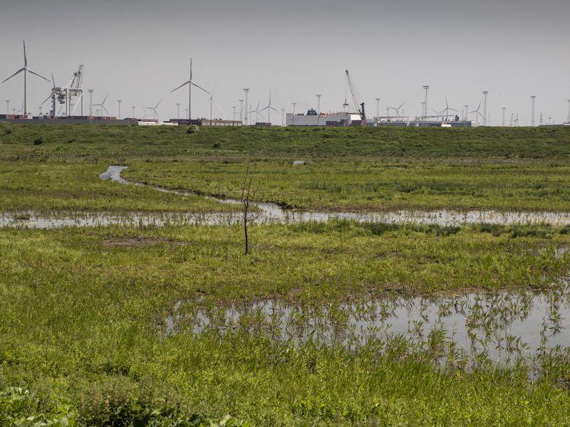 listing card gallery