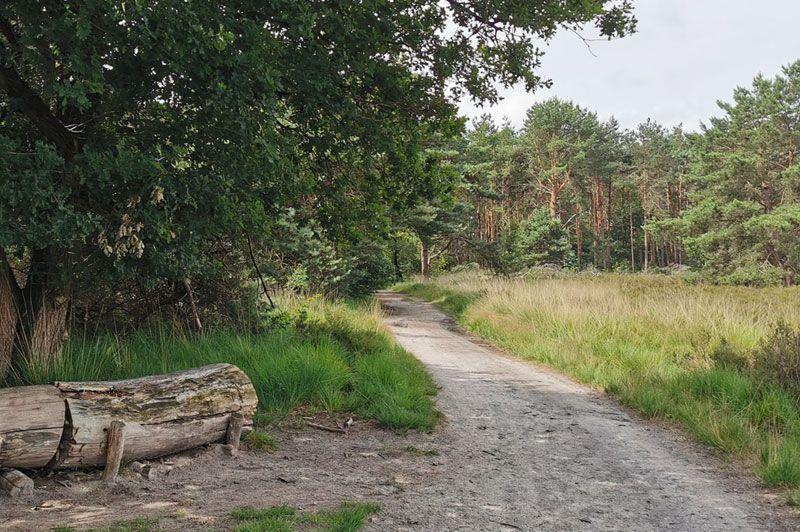 Trappistenroute: Zundert