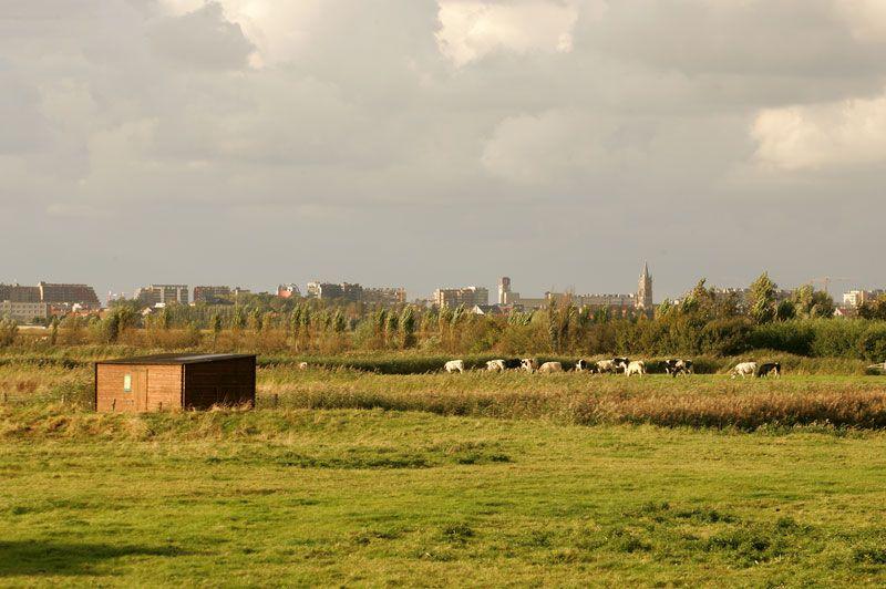 2. Uitkerkse Polderfietsroute (40,4 km)