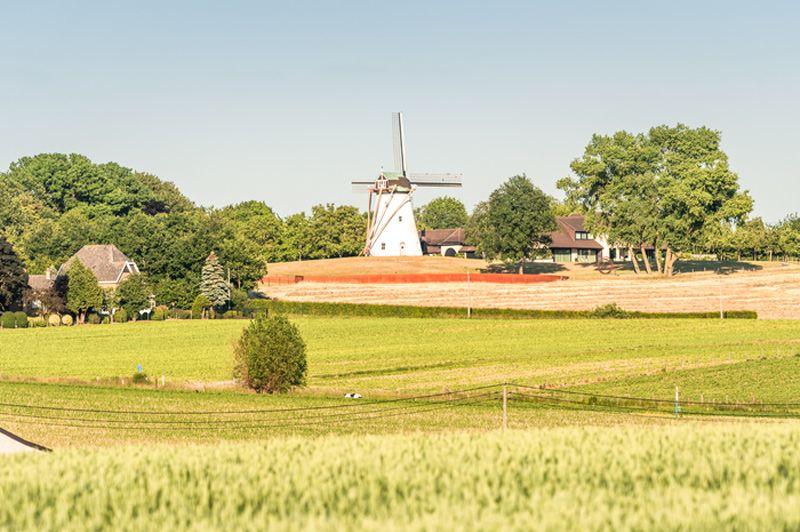 listing card gallery