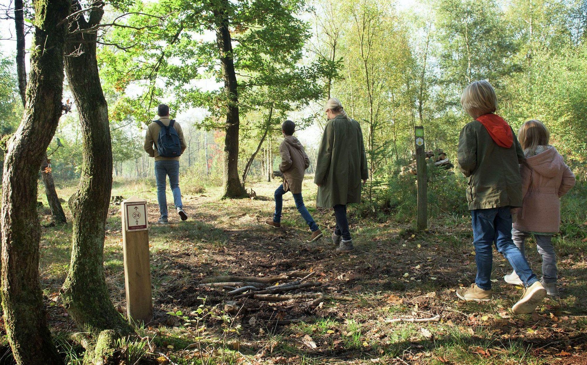 Drongengoedbos wandelroute