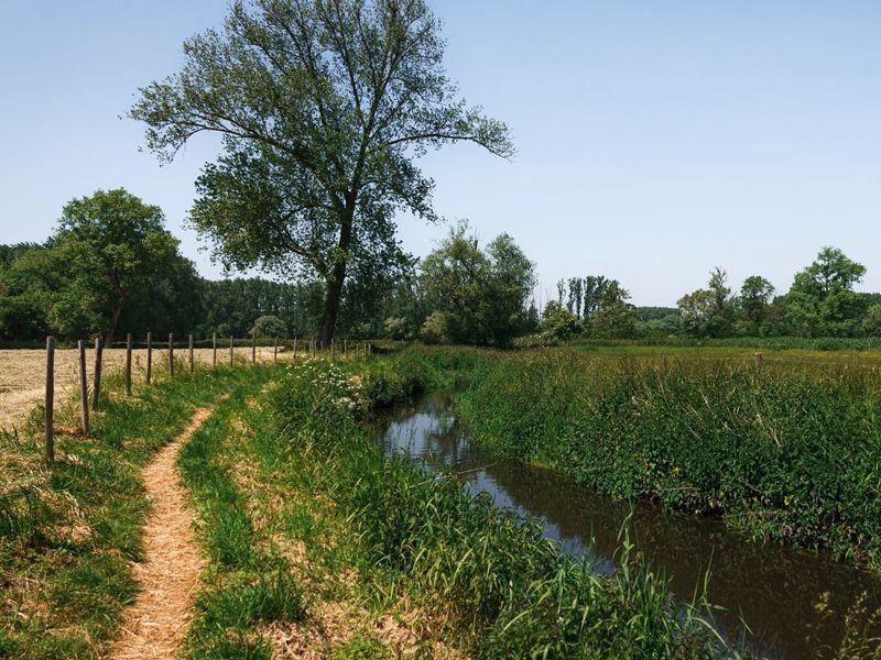 listing card gallery