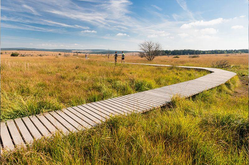 Wandeling van het jaar 2024