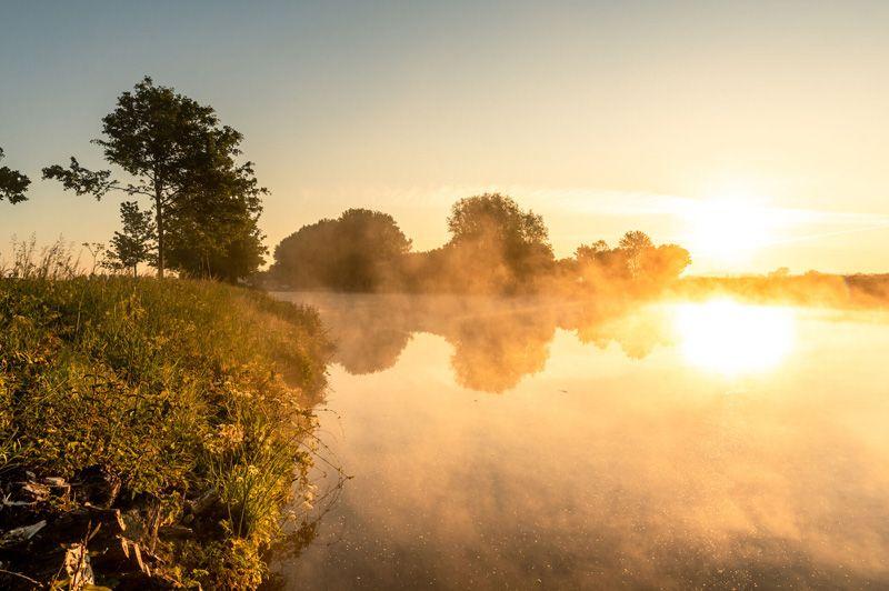 listing card gallery