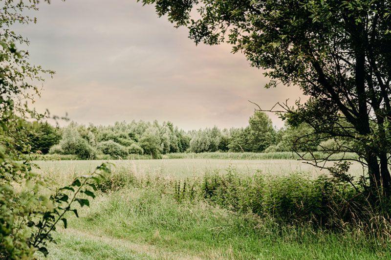 Vierkavenboswandelroute