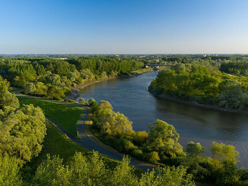 listing card gallery