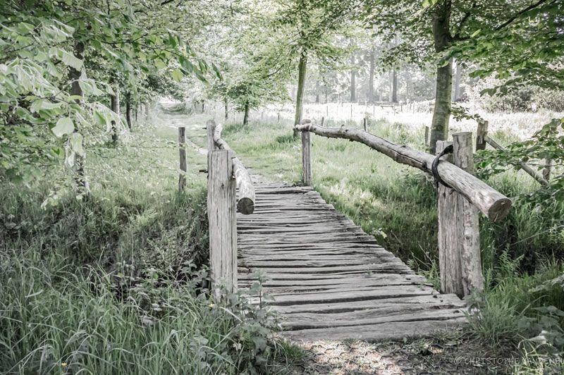 listing card gallery