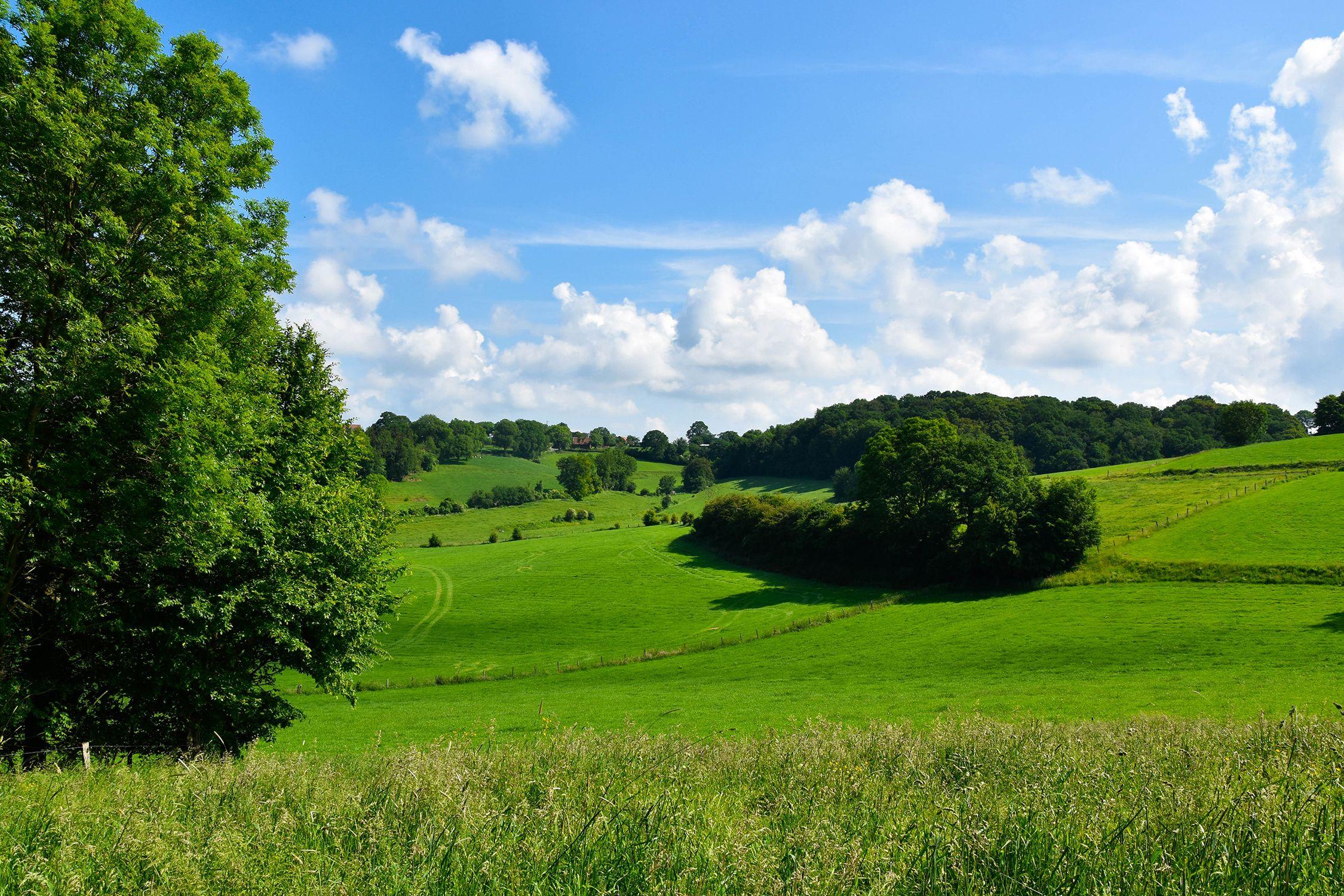 Wandelen in Voerstreek