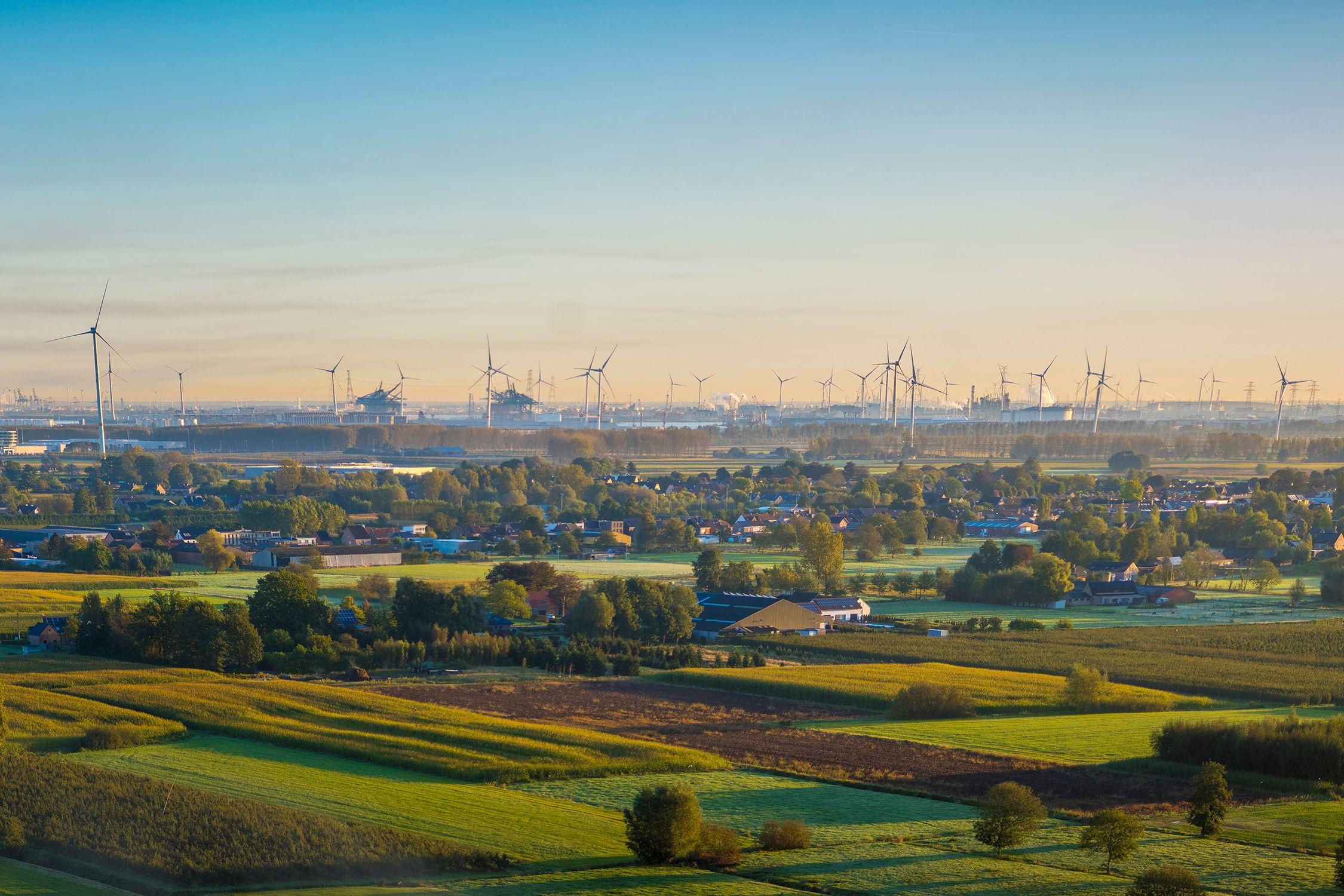 Wandelen in Waasland