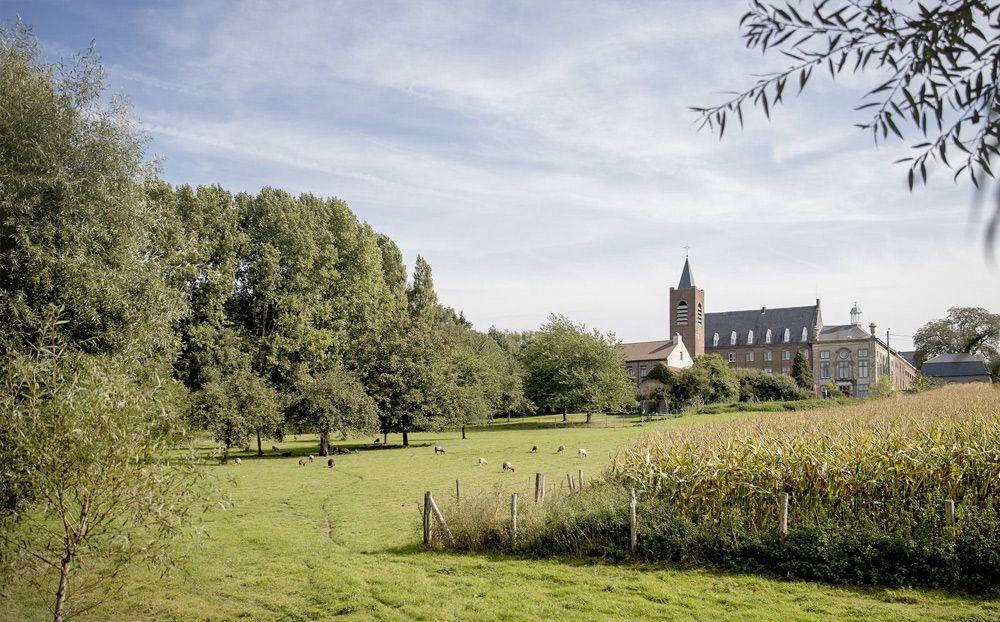 Wandelroutes in Affligem