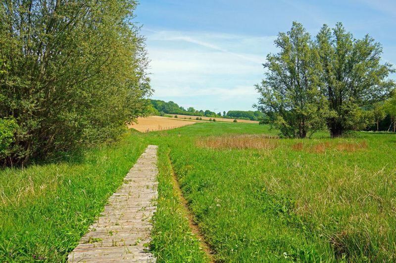 Zottegem: De mooiste wandelingen