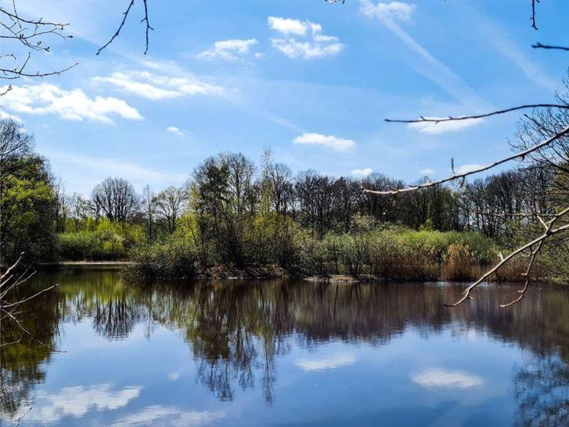 listing card gallery