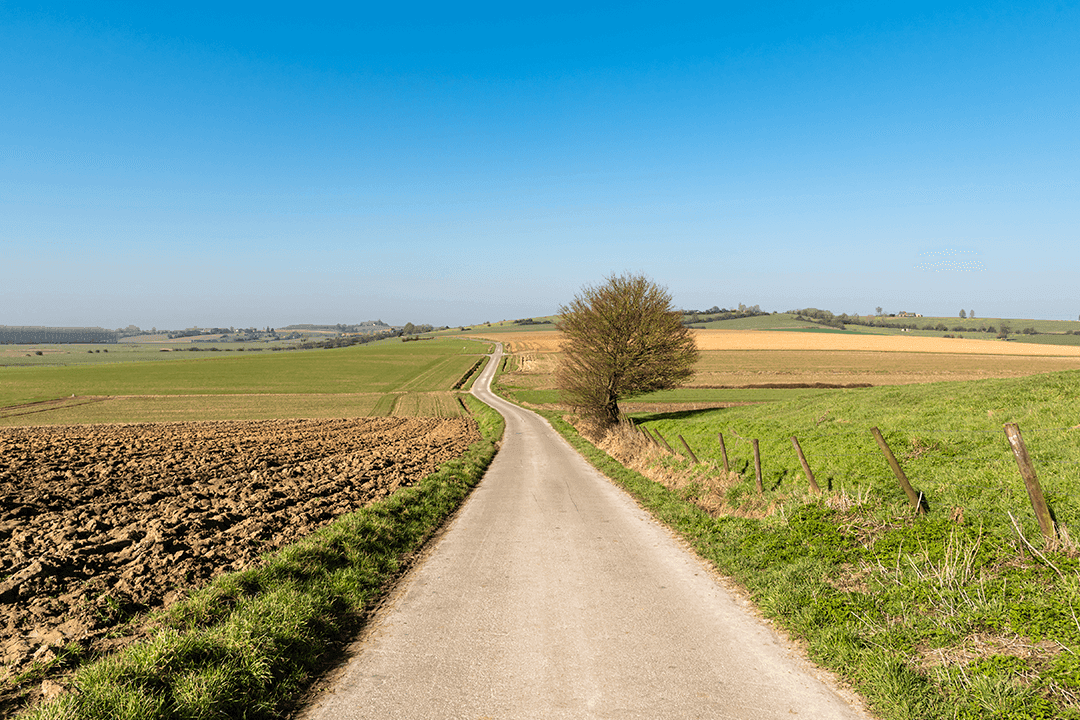 Wandelroutes in Vlaanderen