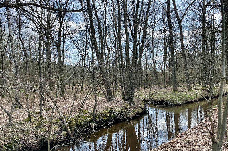 Wandelgebied: t Mulke - blauwe route