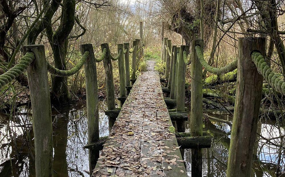 Kruisem: De mooiste wandelingen