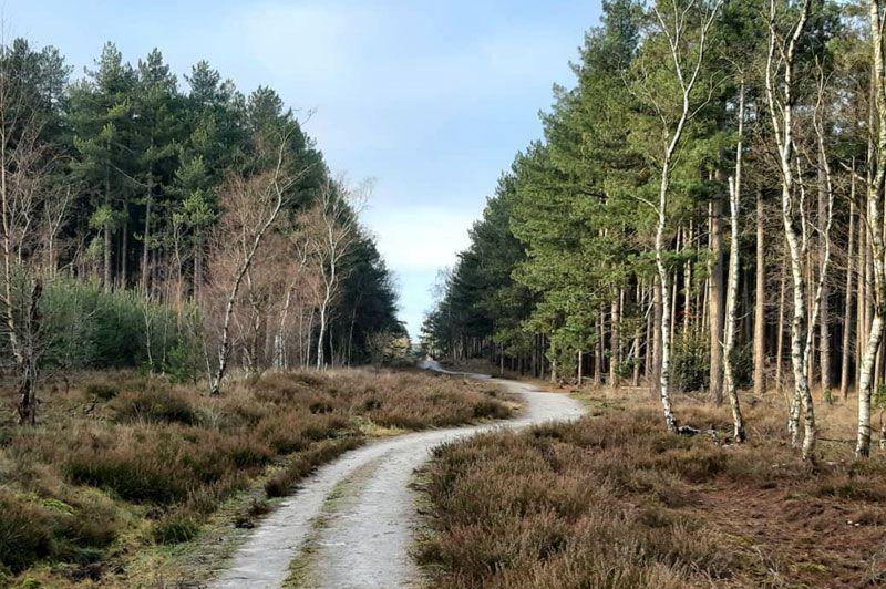 Wandelroutes in Hechtel-Eksel