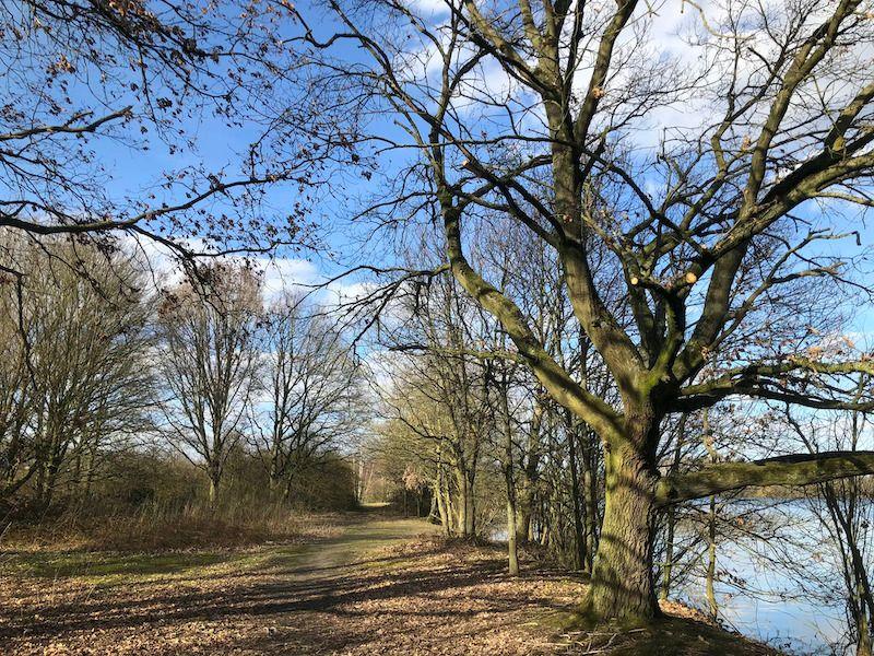 listing card gallery