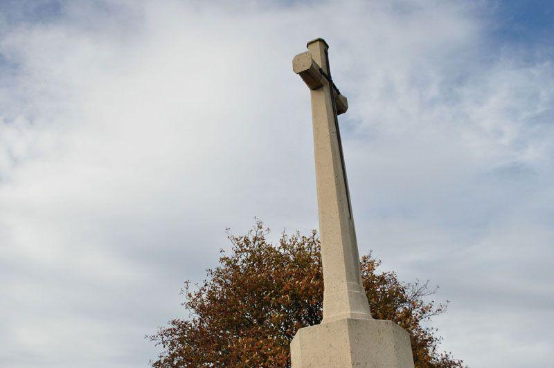 listing card gallery