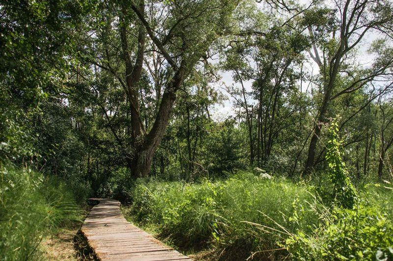 Welle en Kapellemeersen wandelroute