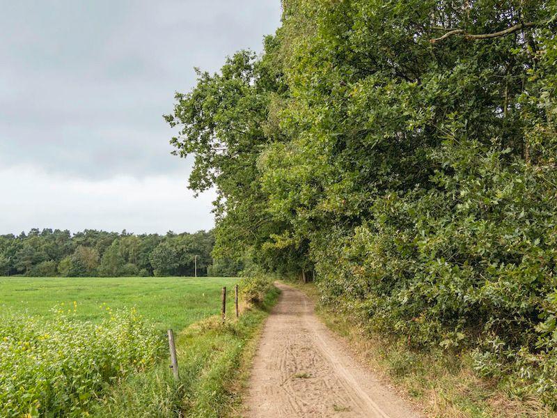 Het Wullebos