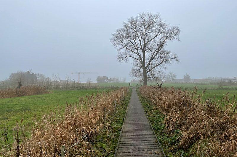 listing card gallery