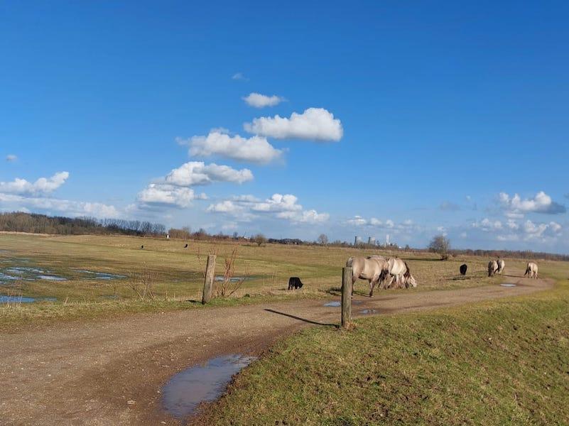 listing card gallery