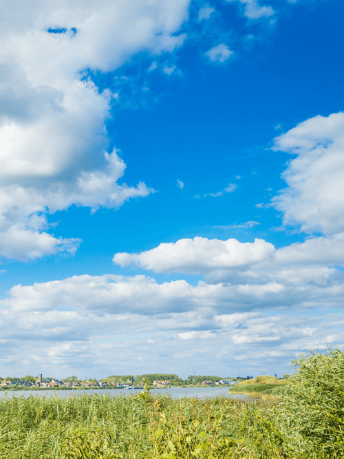 Wandelen in Antwerpen