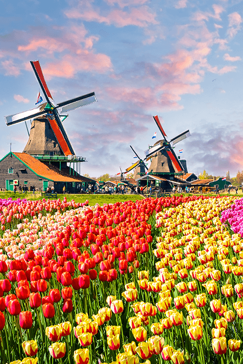 Wandelen in Wandelen in Nederland