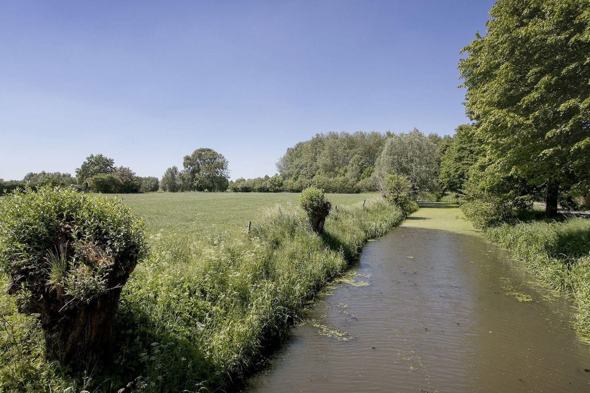 Romantische Beirtjesbrug en Lembeekse Bossen