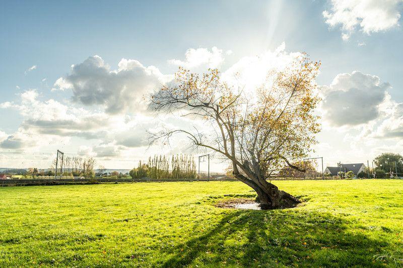 Deel van het Wandelnetwerk "Land van Streuvels":