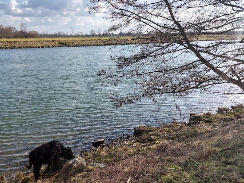 Koningssteen: natuur zonder grenzen