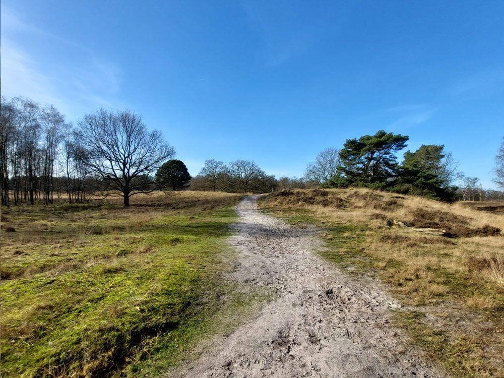 Ossendrechtse duinen
