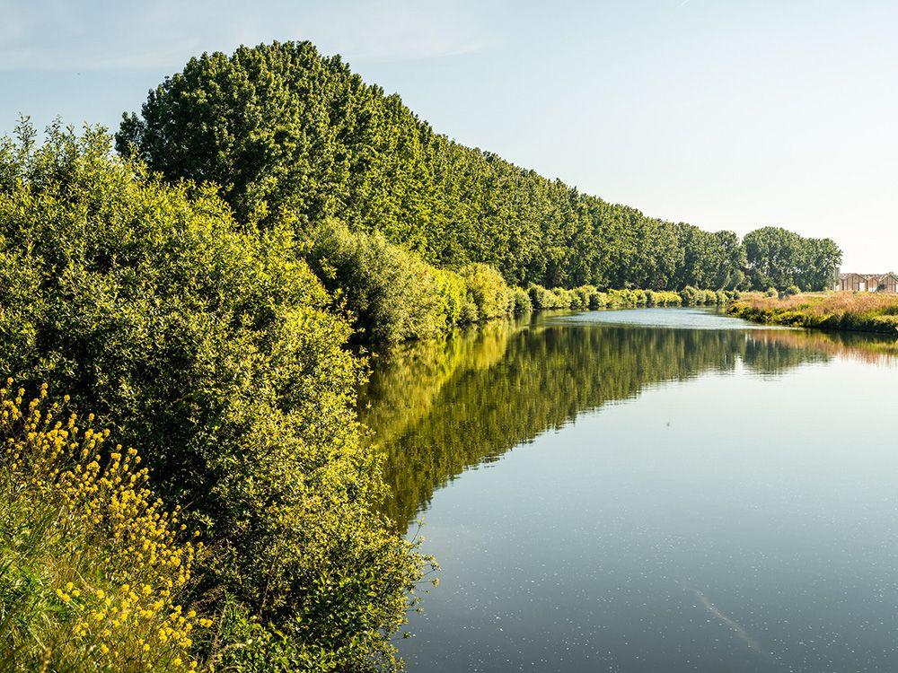 Uitzicht over de Schelde in Spiere