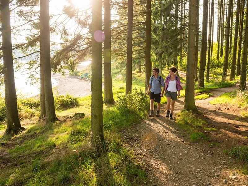 Wandeling van het jaar 2024