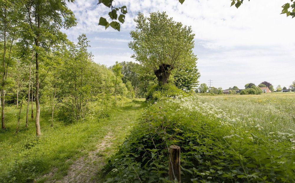 Een wandeling met een geschiedenis