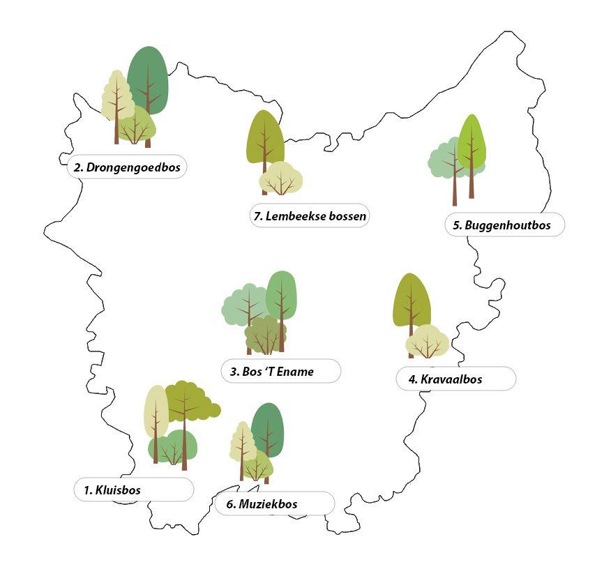 7 mooiste boswandelingen Oost-Vlaanderen