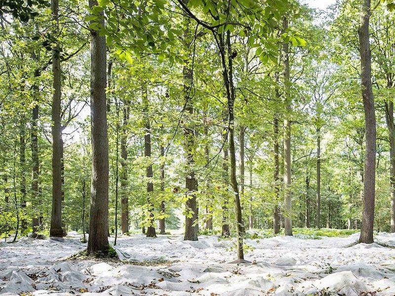 Brabantse Kouters wandelnetwerk