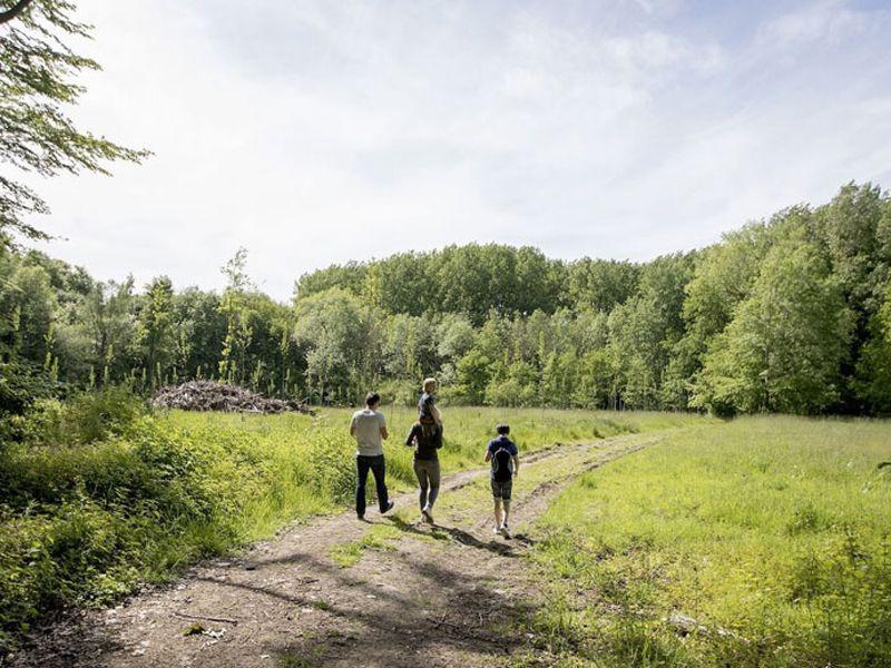 Bronbossen wandelnetwerk