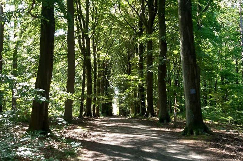 Wandelroutes in Bierbeek