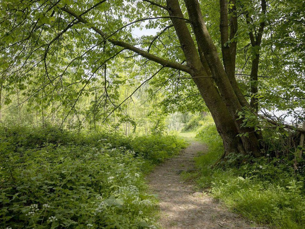 Ename Bos