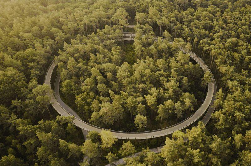 Fietsen in Limburg