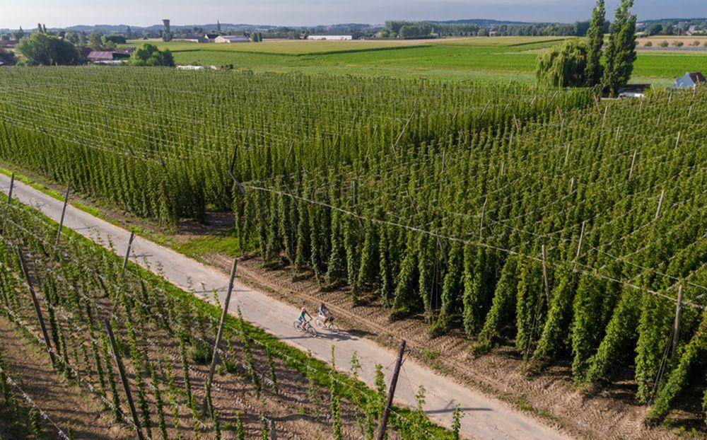 Fietsroutes in Poperinge