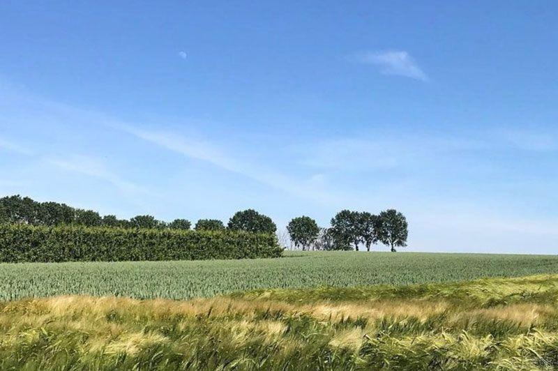Wandelroutes in Glabbeek