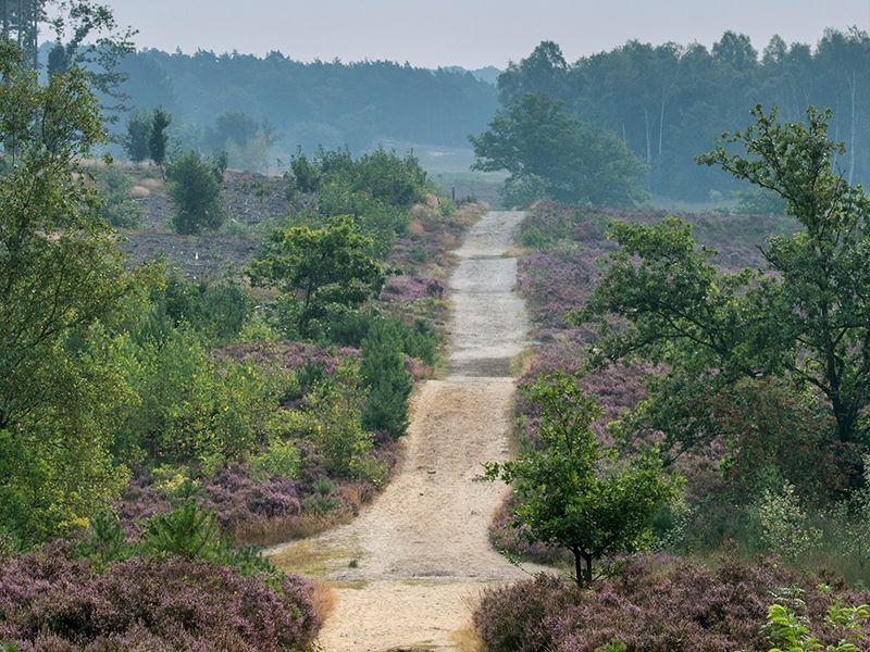 Glooiende heidelandschappen en zandvlaktes