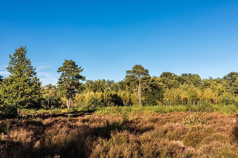 Wandelroutes in Ham