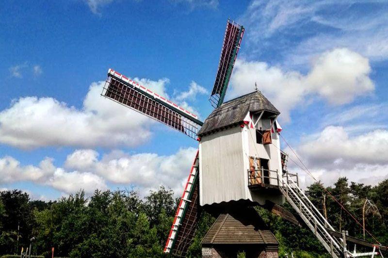 Heesakkerheide Pelt - Oranje
