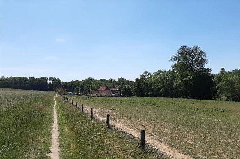 Herisemwandeling
